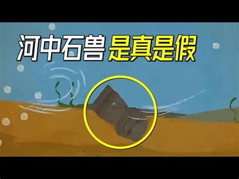 河中石獸工作紙答案|《河中石獸》課後練習及答案,《河中石獸》課後練習及答案